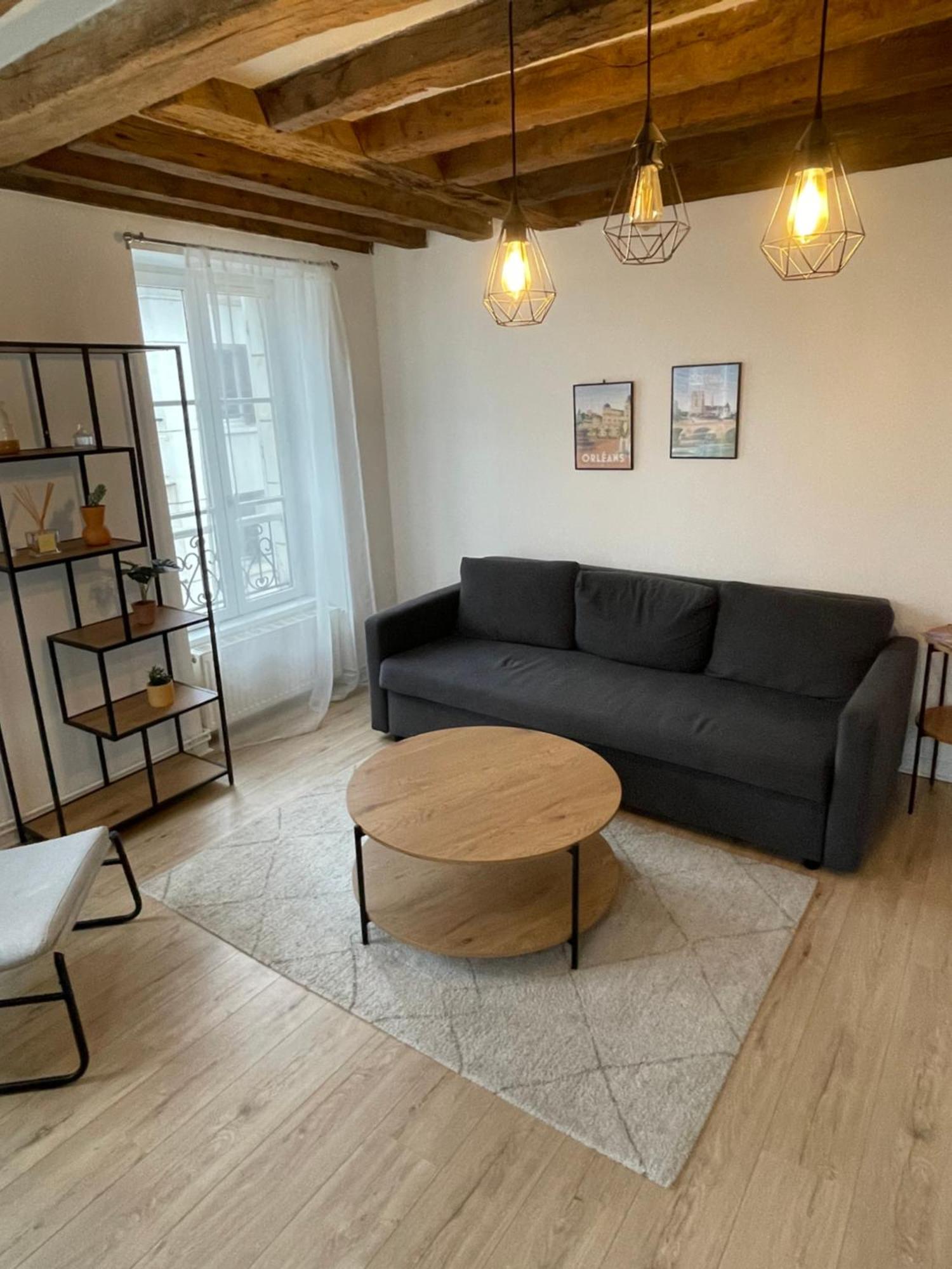 Charmant Appartement Orleans ! Ngoại thất bức ảnh